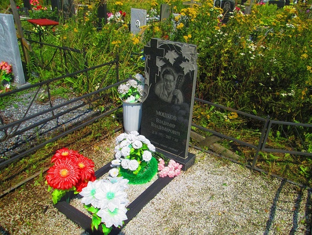 Владимир Мошков