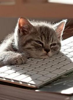 Надежда Водолазова