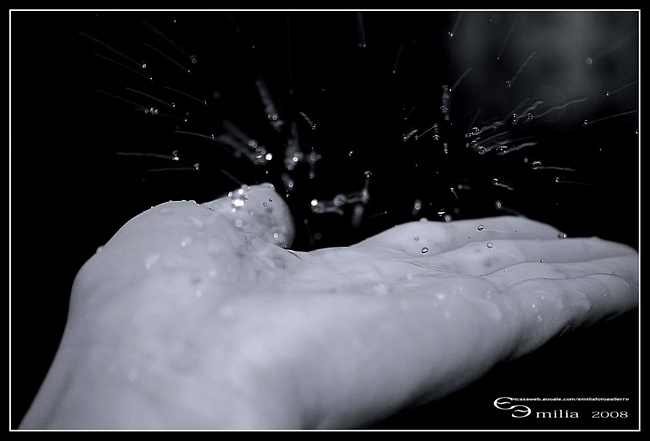 Алёна Майер