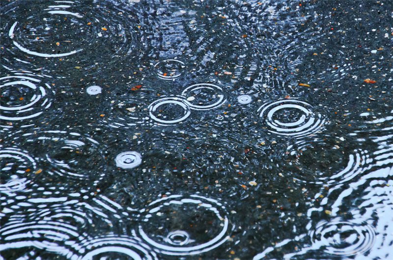 название название