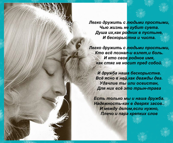 Тост про дружбу до слез Тост про дружбу до слез