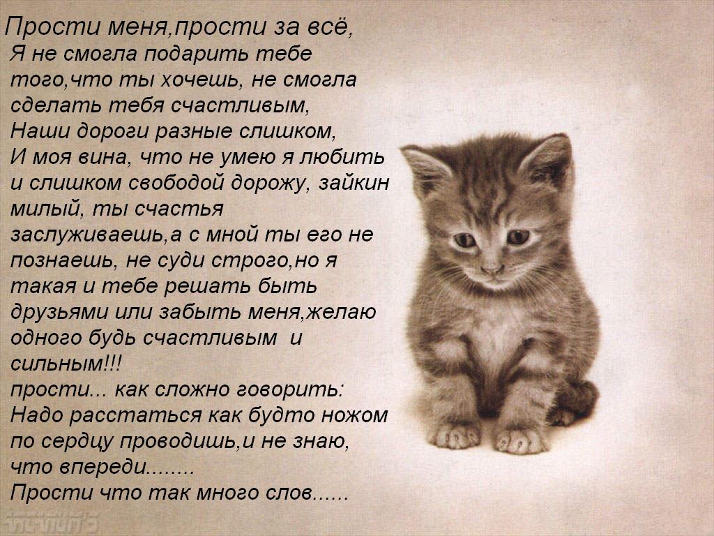 Стих парню с извинениями за все Стих парню с извинениями за все
