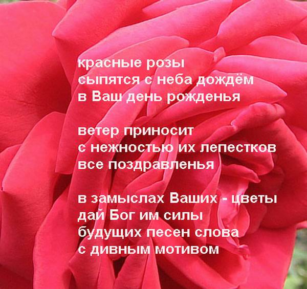 Стих не изменяйте жёнам Стих не изменяйте жёнам