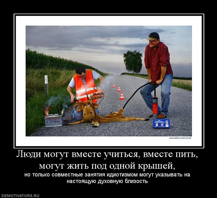 Стих про не спят Стих про не спят