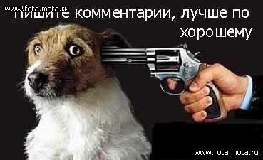 Где ты была стихи проза Где ты была стихи проза