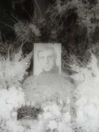 Последний приют