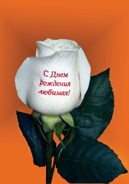 Найти открытки для мамы на день рождение Найти открытки для мамы на день рождение