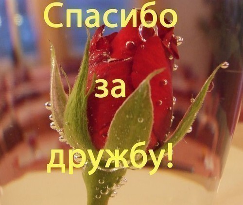 http://www.stihi.ru/pics/2009/03/19/1572.jpg