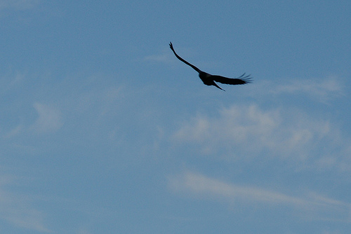 название название