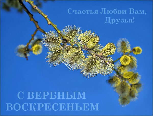 http://www.stihi.ru/pics/2009/04/11/7238.jpg