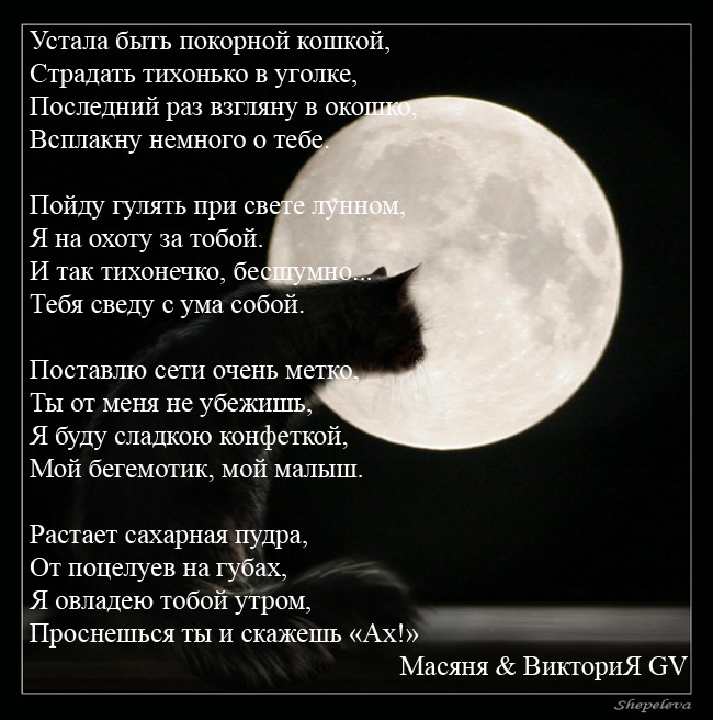 Я так устала быть одна проза Я так устала быть одна проза