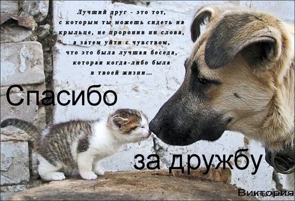 Классные поздравления с днем рождения Лучшие поздравления 92 Классные поздравления с днем рождения Лучшие поздравления 3