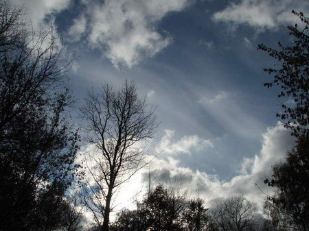 название название