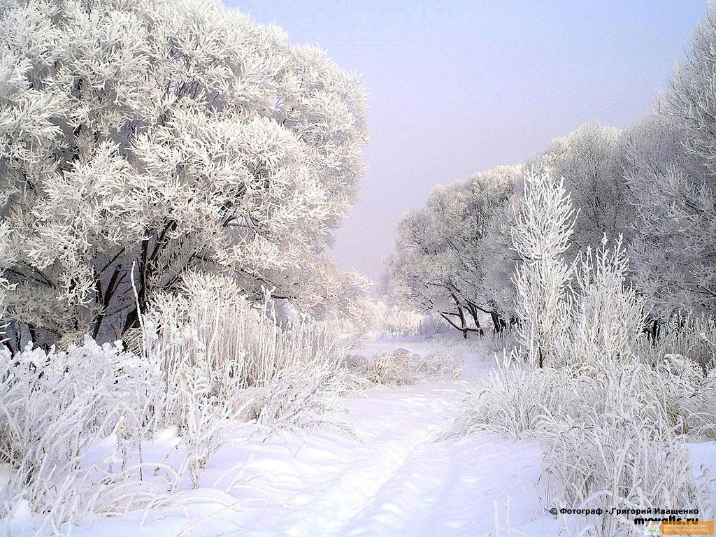 Действие III