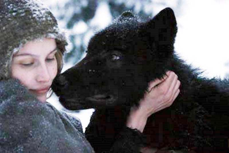 Девушка и волк... (Александр Айзенберг) / Стихи.ру