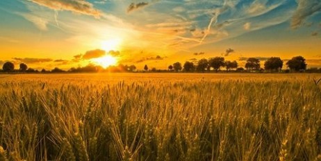 Скачать музыку на украинском языке про любовь