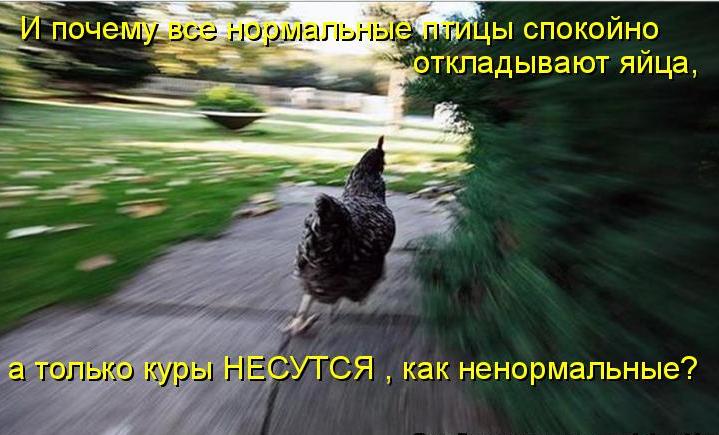 http://www.stihi.ru/pics/2010/02/22/1016.jpg?961
