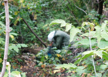 Бомжиха Бомжиха