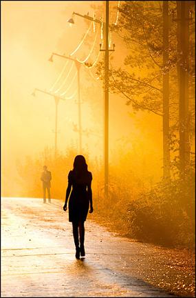 название название