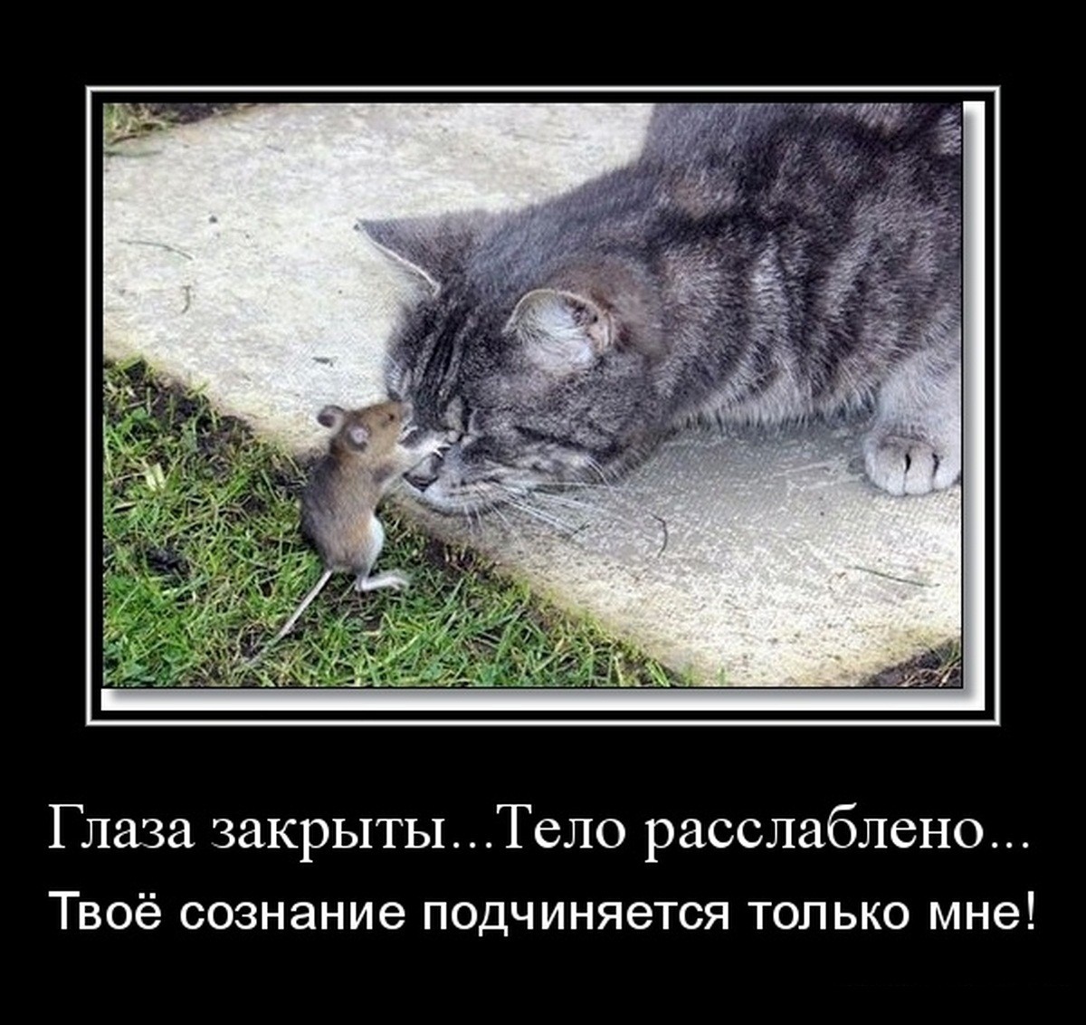 встала четвереньки Тётка встала на четвереньки и пукнула