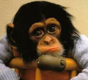 название название