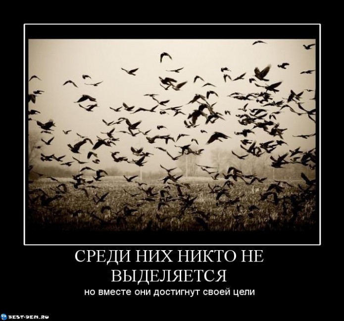 Поздравления с Днем Рождения в прозе Поздравления от родителей в честь 50-летнего Юбилея детского сада