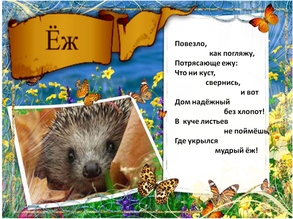 Я колючий ежик стих Я колючий ежик стих