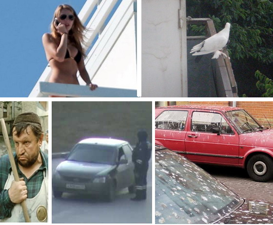 Утро с балкона Утро с балкона