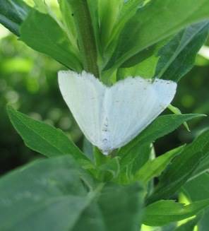 название название