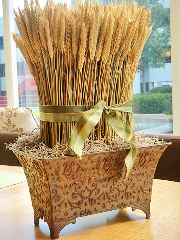 Злаки своими руками Злаки своими руками