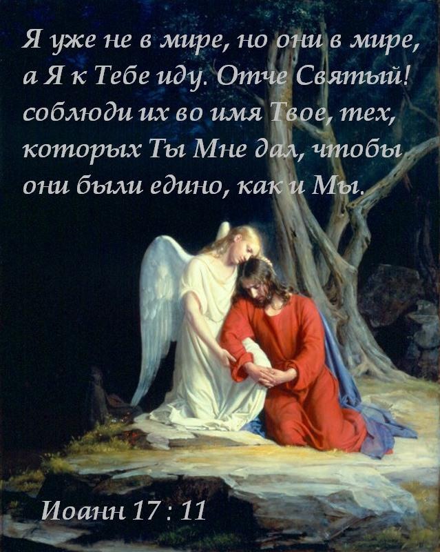Міжнародний математичний конкурс Кенгуру - Освітній портал Лучшие сценарии на