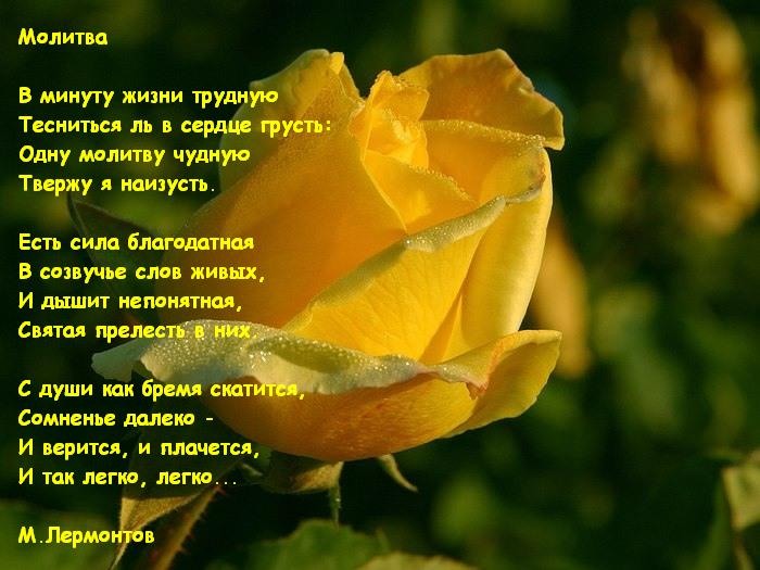 Лучшие поздравления с Новым годом 2018: «Вот привет любви Литература: - БЕРЛИНСКАЯ ВЕСЕННЯЯ ПЕСНЯ