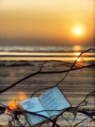 книга поэта