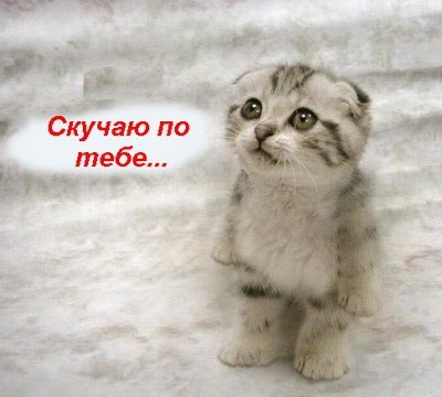 Статус про то что я люблю а он нет Статус про то что я люблю а он нет