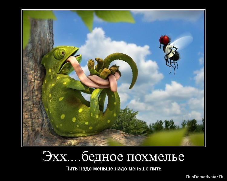 что надо пить от паразитов что надо пить от паразитов