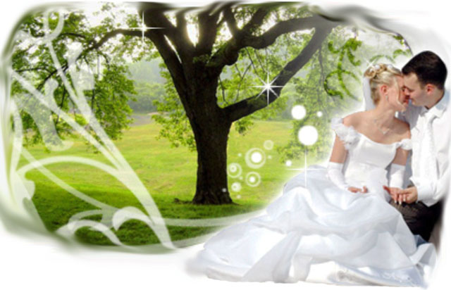 Свадебные поздравления в стихах.