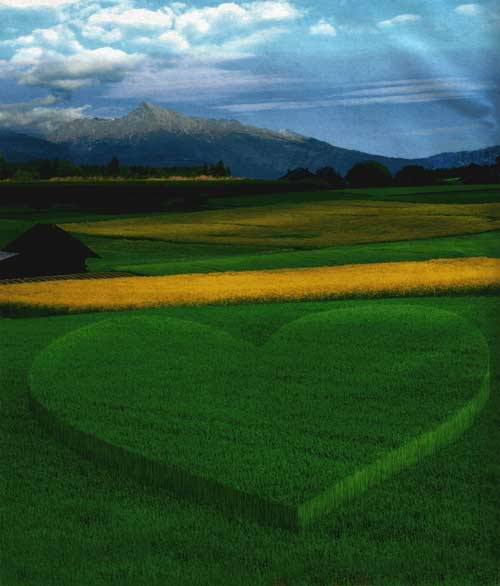 Бог не в моде?