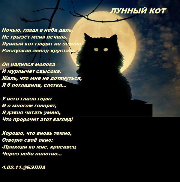 Стих таинственная ночь Стих таинственная ночь