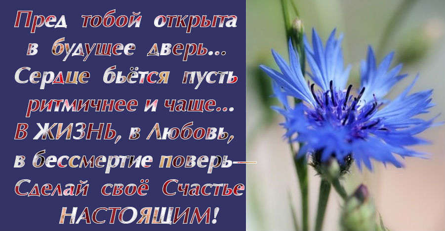 поверь