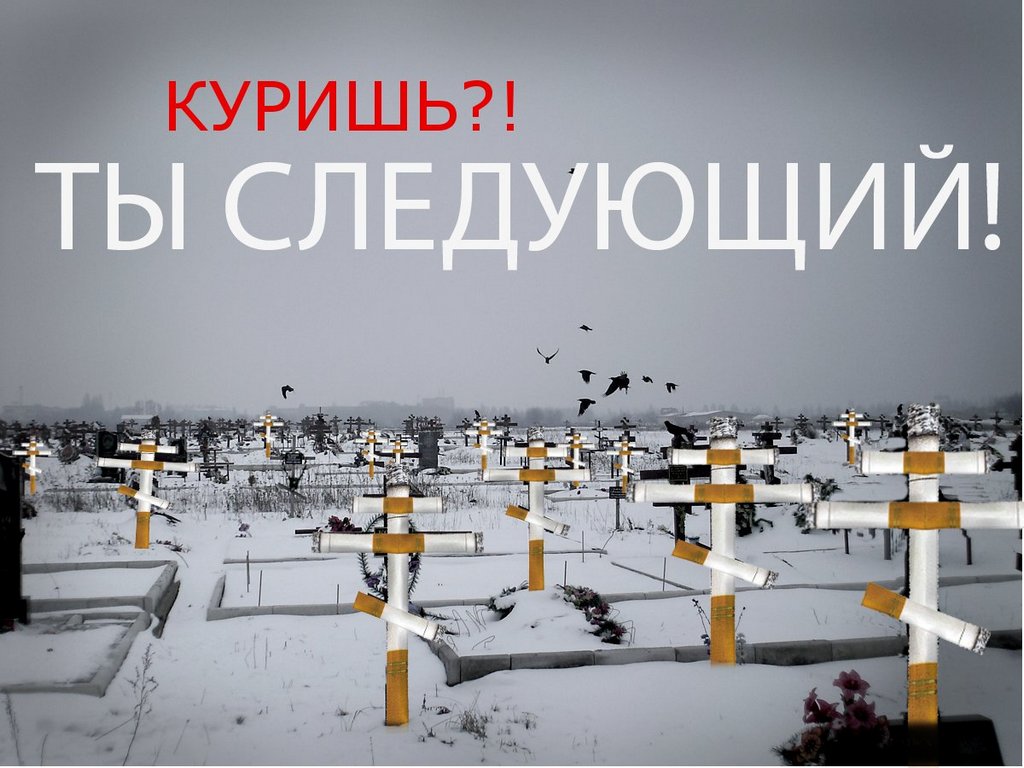 Книга как быстро бросить курить видео