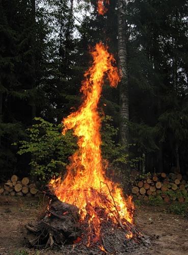 название название