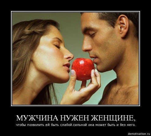 Всем мужикам таким как ты бы быть поздравление Всем мужикам таким как ты бы быть поздравление