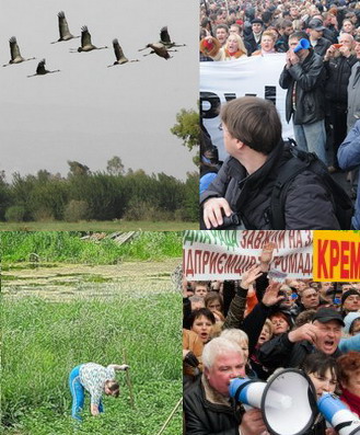 У нас с тобою разная судьба У нас с тобою разная судьба