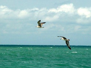 http://www.stihi.ru/pics/2011/05/30/3023.jpg