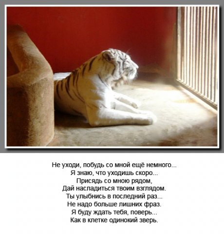 Еще немного стих Еще немного стих