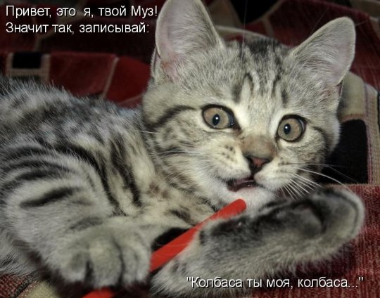 Вот такая ерунда стих Вот такая ерунда стих