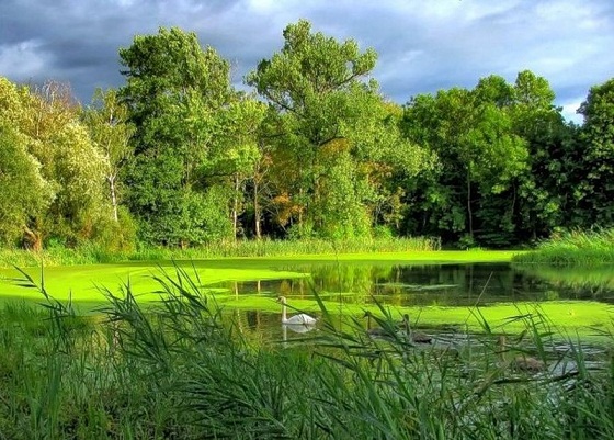 сияет солнце воды блещут слушать сияет солнце воды блещут слушать