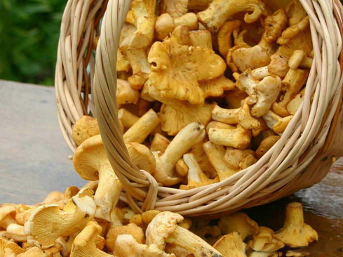 http://www.stihi.ru/pics/2011/08/05/6429.jpg