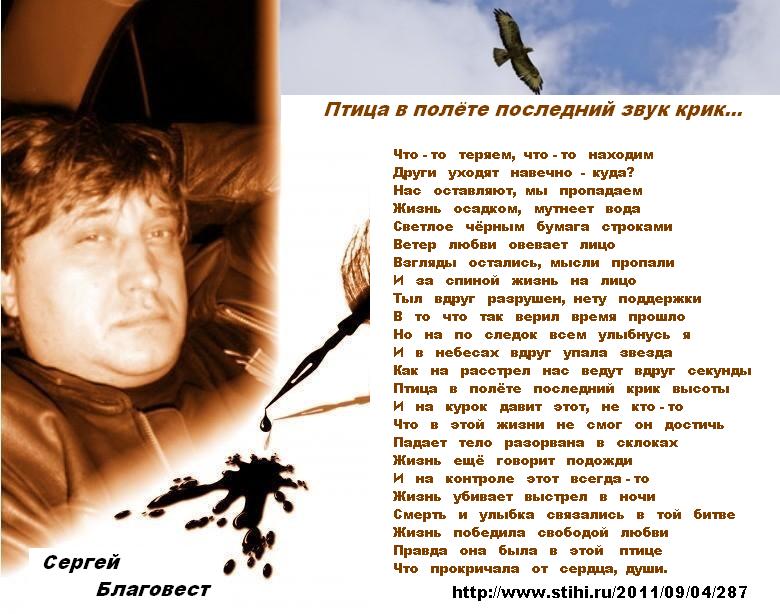 Полёт птиц стих Полёт птиц стих