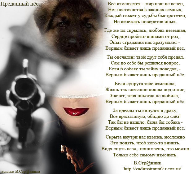 Стих я как верный пес Стих я как верный пес
